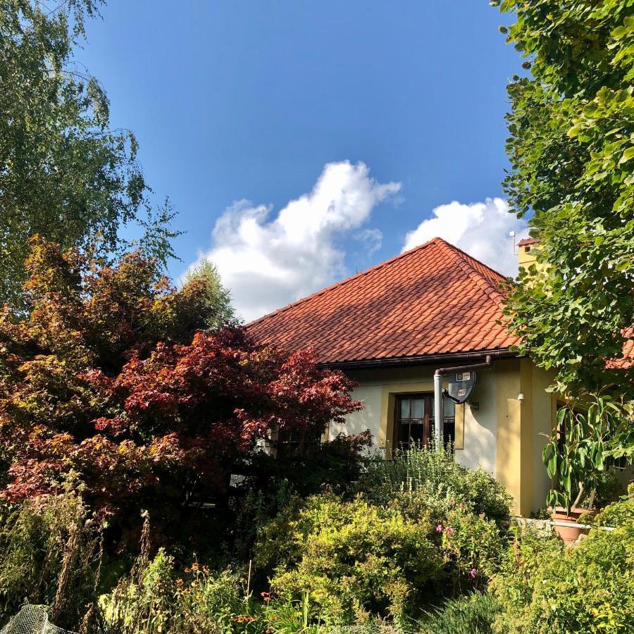 Modryna Ranczo Bed and Breakfast Krasiczyn Exteriör bild