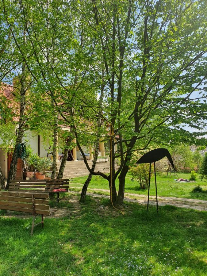 Modryna Ranczo Bed and Breakfast Krasiczyn Exteriör bild