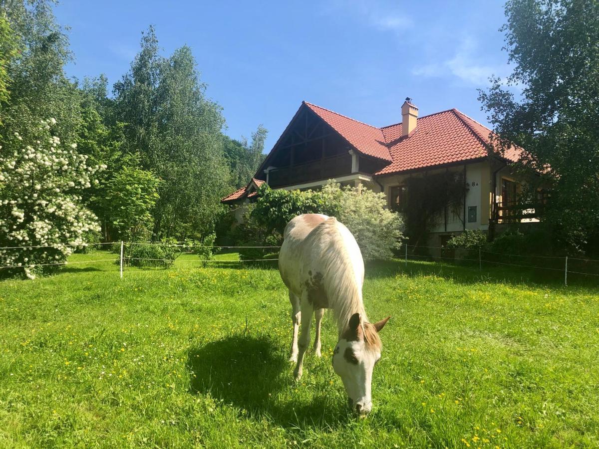 Modryna Ranczo Bed and Breakfast Krasiczyn Exteriör bild